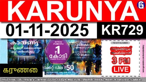 Kerala Lottery Result of Today Karunya (KR-729) 01.11.2025